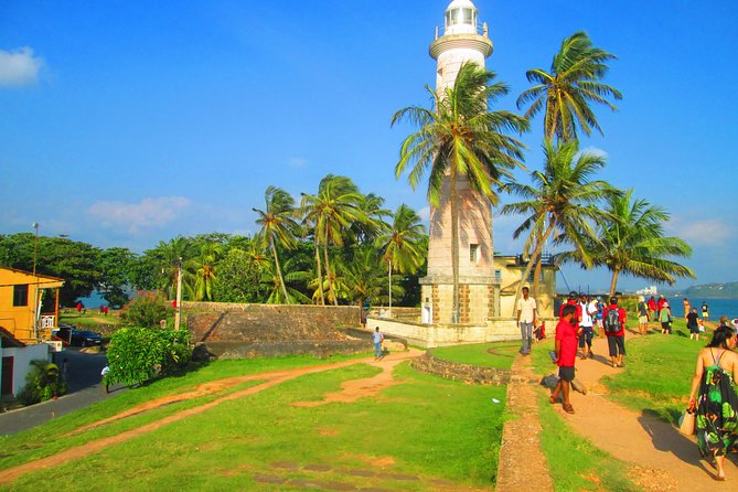 Galle Day visit from Colombo - Kosgoda Sea Turtle Conservation Project: Up Close, With Respect