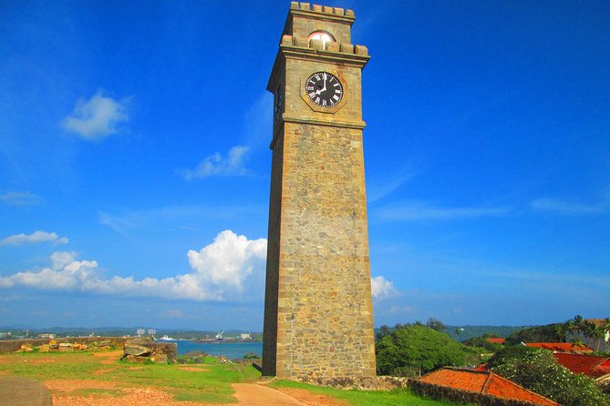 Galle Day visit from Colombo - Madu River Safari by Buddhi: Boat Views and Fishtherapy