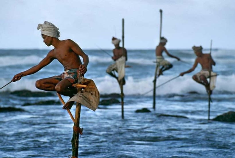 Galle Fort, Bentota, Hikkaduwa Beach: Day Tour from Colombo - Key things to know before you go