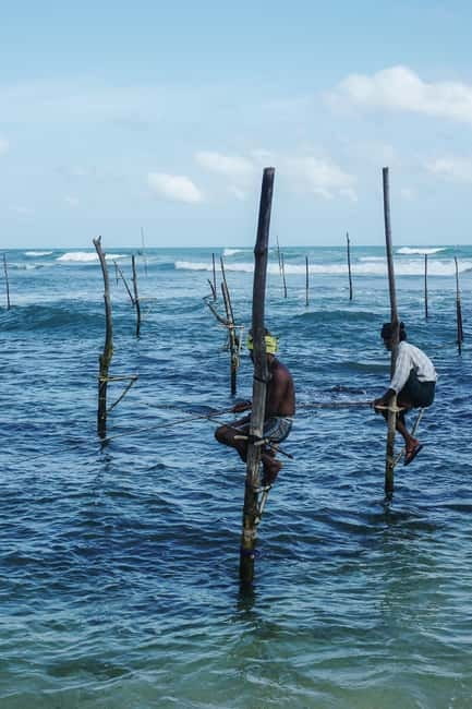 Galle Fort, Bentota, Hikkaduwa Beach: Day Tour from Colombo - Kosgoda Sea Turtle Conservation: the conservation part that hits