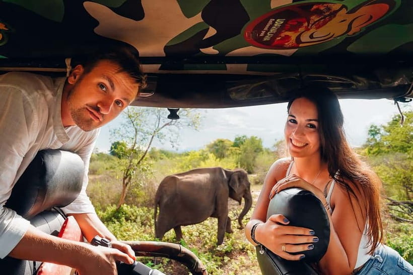 Galle/Mirissa/Hiriketiya: Drop to Ella & Udawalawa Safari - Key Things You’ll Remember