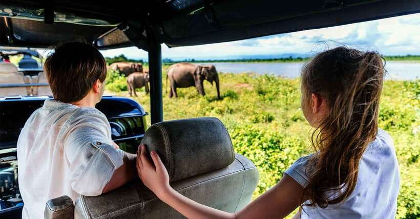 Galle/Mirissa/Hiriketiya: Drop to Ella & Udawalawa Safari - A South-Coast to Ella Day With a Real Udawalawe Safari
