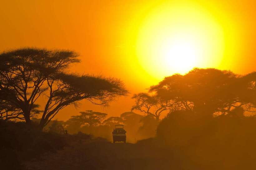 Galle/Mirissa/Hiriketiya: Drop to Ella & Udawalawa Safari - Comfort on the Transfer: Air-Conditioned Beats Stress