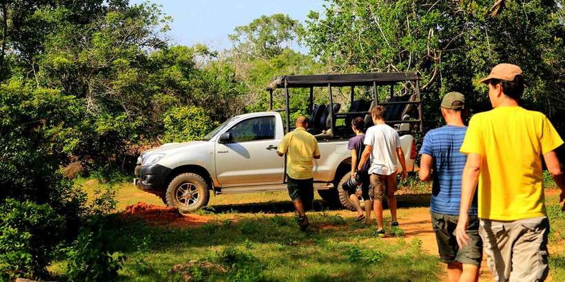 Galle/Mirissa/Tangalle:Udawalawa Safari & Elephant Orphanage - Udawalawa from Down South: Why This Tour Works