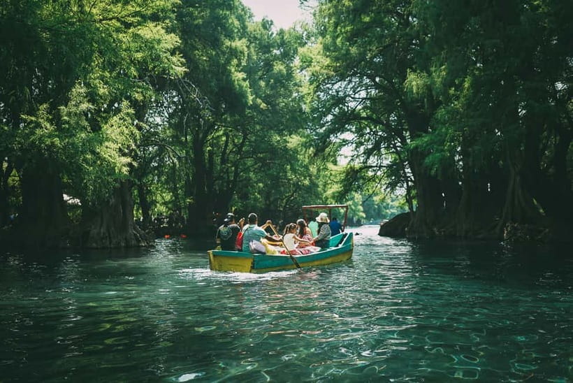 Galle Private Day Tours with Sea Turtles visit & Boat Safari - Madu Ganga boat safari: mangroves, animals, and birdlife on the water