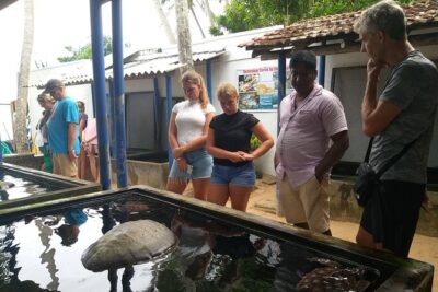 Galle sightseeing tour - Galle Dutch Fort: Portuguese-to-Dutch Walls and What to Look For