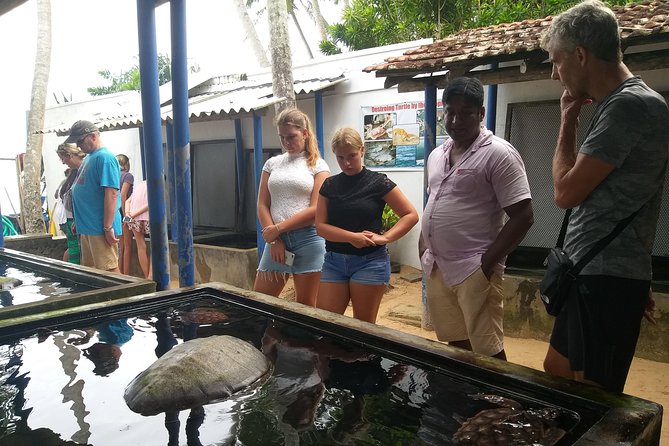 Galle sightseeing tour - Galle Dutch Fort: Portuguese-to-Dutch Walls and What to Look For