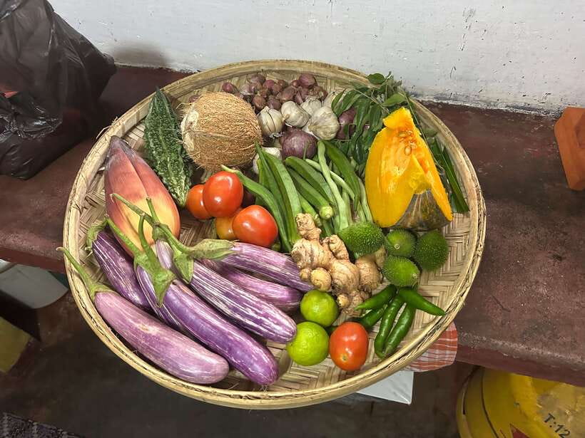 Galle: Traditional Sri Lankan Cooking Class - Who This Class Suits Best (and Who Should Skip It)