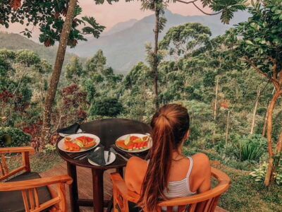 Get a private driver for day tours around Sri Lanka - What the Day Tour Price Really Covers