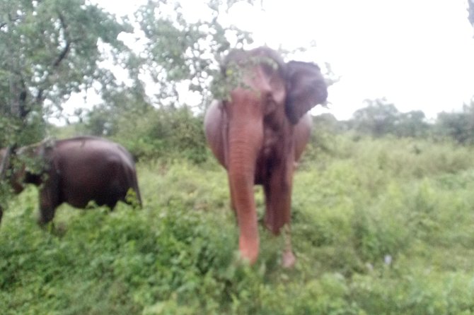 Glamour of Sri Lanka 8 Days - The Big Idea: Why This Route Works So Well