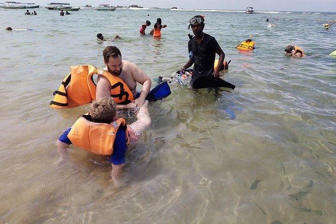 Glass Bottom Boat Tour and Snorkeling Hikkaduwa - The Wildlife You Can Hope to See Off Hikkaduwa