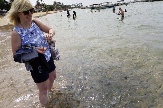 Glass Bottom Boat Tour and Snorkeling Hikkaduwa - Price and Value: Is $19 a Good Deal?