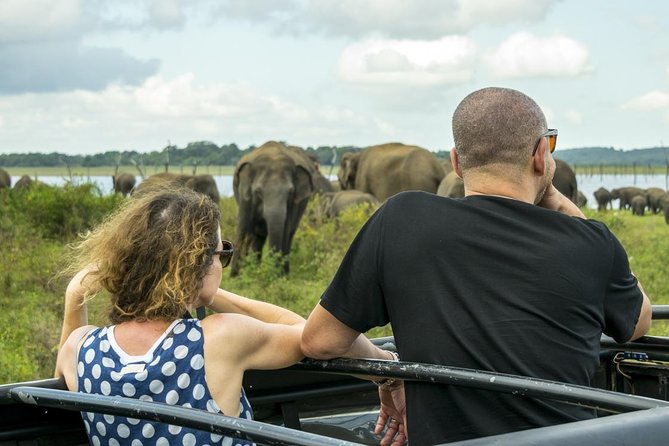 GO WILD! Double Safari Day Trip (Yala & Udawalawe) - Private & All Inclusive - Quick Booking Checklist Before You Go