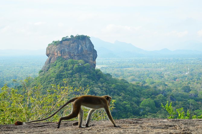 Guided Hike & Picnic with an Amazing View on Pidurangala Rock - Stop 1: Climbing Pidurangala Rock without making it a fitness test