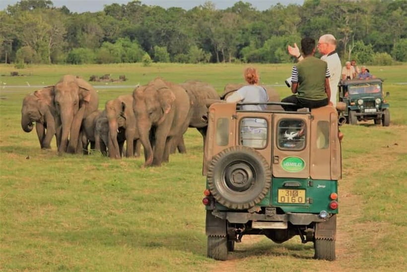 Habarana: Hurulu Eco Park Elephant Jeep Safari - Hurulu Eco Park Safari: Why This Area Gets Elephant-Matching Right