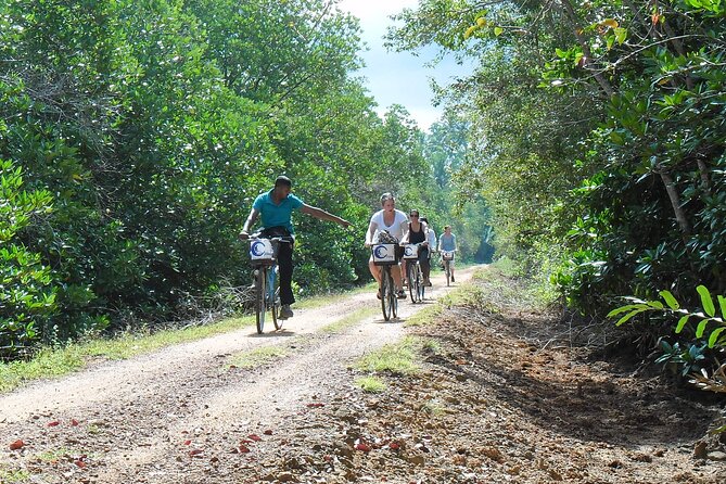 Half-Day Lagoon and Village Cycling Tour in Galle - The Ride Itself: 12 km of Easy Riding Over Gravel and Dirt