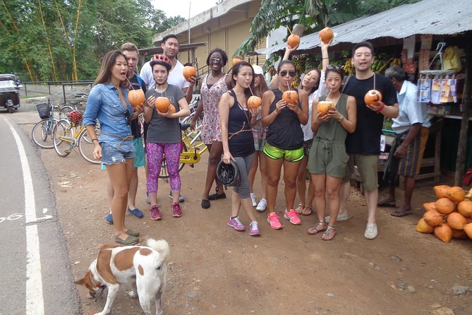 Half-Day Lagoon and Village Cycling Tour in Galle - Lagoons and Mangroves: The Wildlife Walk You Can Cycle Through