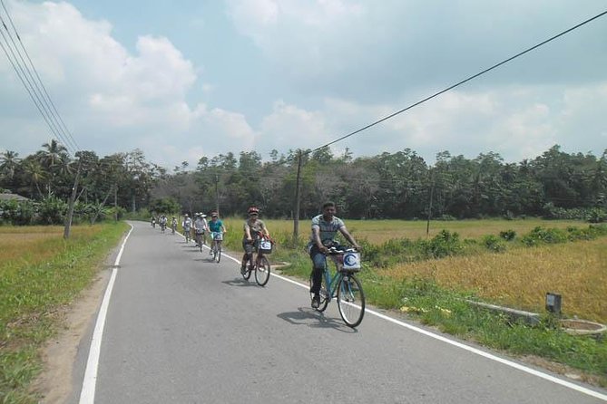 Half-Day Lagoon and Village Cycling Tour in Galle - Meeting at Chameera Cycling and Getting Set Up Fast