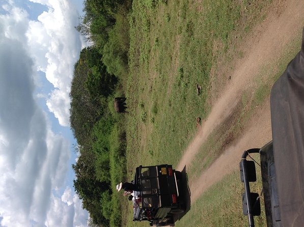 Half Day - Minneriya National Park Safari Tour From Habarana/Sigiriya - Why This Half-Day Safari Fits Habarana and Sigiriya