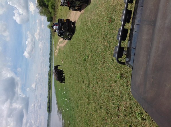 Half Day - Minneriya National Park Safari Tour From Habarana/Sigiriya - Minneriya National Park: What You Can Expect During the Safari