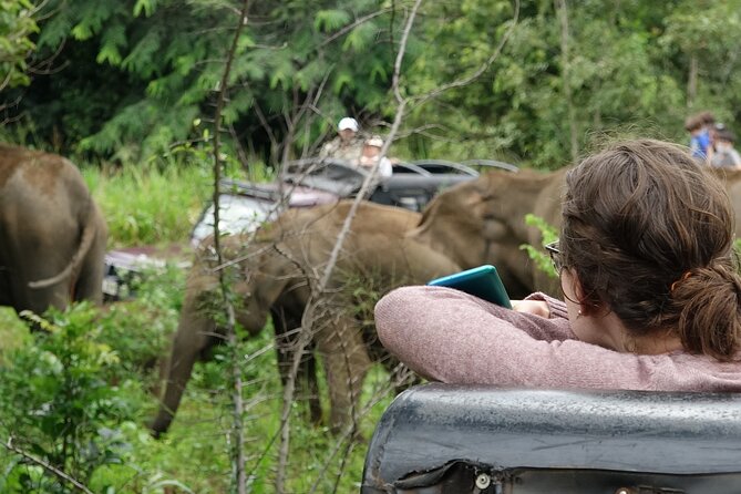 Half Day Safari Guided Tour - Kamal Safari Bundala Park: Migrating Birds From September to April