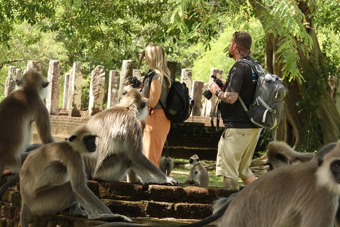 Half Day Safari Guided Tour - Yala National Park: Leopard Potential Plus Bird and Amphibian Variety