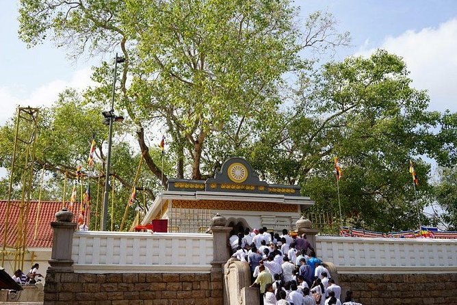 Half day tour - in Sacred city of Anuradhapura Or sacred city of Mihintale. - Entering Anuradhapura at 8:30: how the timing shapes the experience