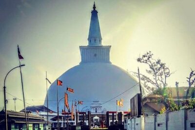 Half day tour - in Sacred city of Anuradhapura Or sacred city of Mihintale. - Jaya Sri Maha Bodhi: the sacred Bo tree you treat like a time machine