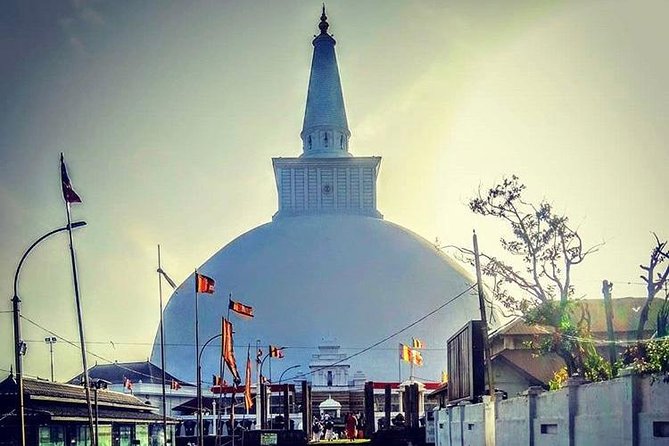 Half day tour - in Sacred city of Anuradhapura Or sacred city of Mihintale. - Jaya Sri Maha Bodhi: the sacred Bo tree you treat like a time machine