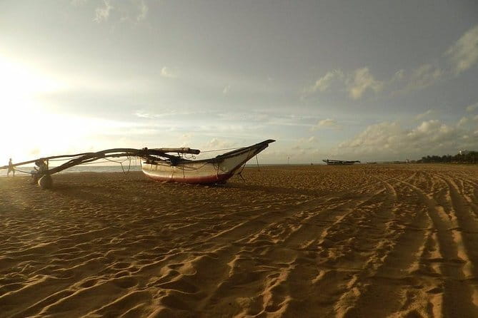 Half Day Tour to Muthurajawela, Lagoon, Dutch Canal and Mangroves - Dutch Canal cruise: calm navigation with chances for serious sightings