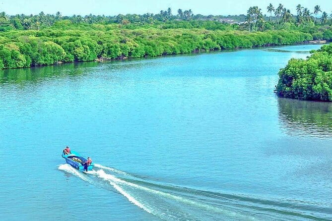 Half Day Tour to Muthurajawela, Lagoon, Dutch Canal and Mangroves - Price and value: what $59 buys you in real terms