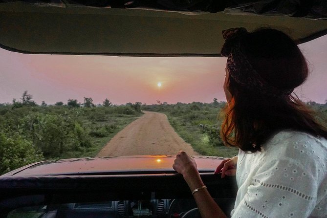Half Day Udawalawe Safari (Entrance + Lunch) - Why this Udawalawe safari works so well from Galle