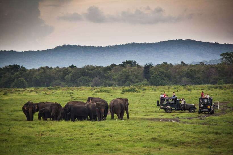 Hambantota Port: Udawalawe Safari Tour & Transit Home Visit - Should you book the Hambantota Port: Udawalawe Safari & Transit Home visit?