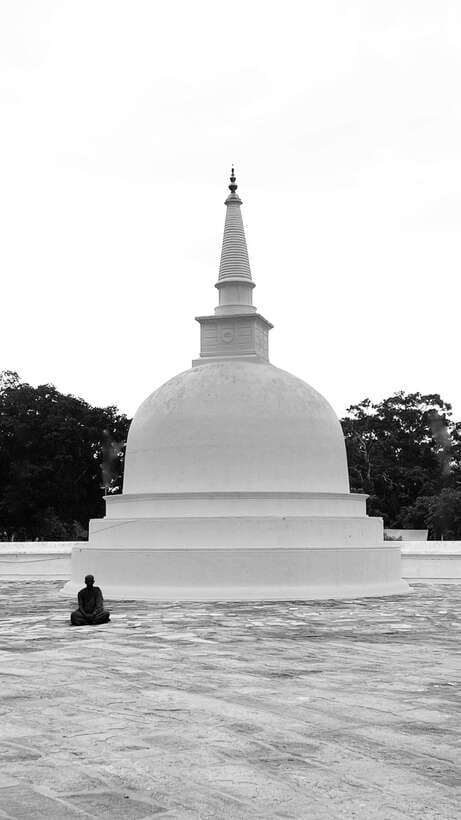 Hambantota Shore Excursion: Village and Cultural tour - What You’ll Actually Learn (and What Can Get Lost)