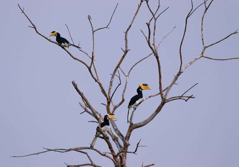Hambantota Shore Excursion: Village and Cultural tour - Is the Private Group Format Worth It?