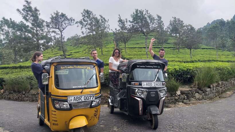 Haputale:Glorious Tuk Tuk Ride to Lipton'sSeat & Tea Factory - Tea plucking in the plantation: hands-on work with local tea pluckers