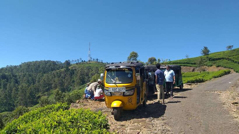Haputale:Glorious Tuk Tuk Ride to Lipton'sSeat & Tea Factory - Dambatenne Tea Factory: from fermentation to grading, with tea tasting