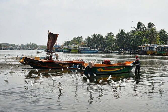 Heritage & Cultural Walk in Negombo - Price and value: what $10 gets you (and what might cost extra)