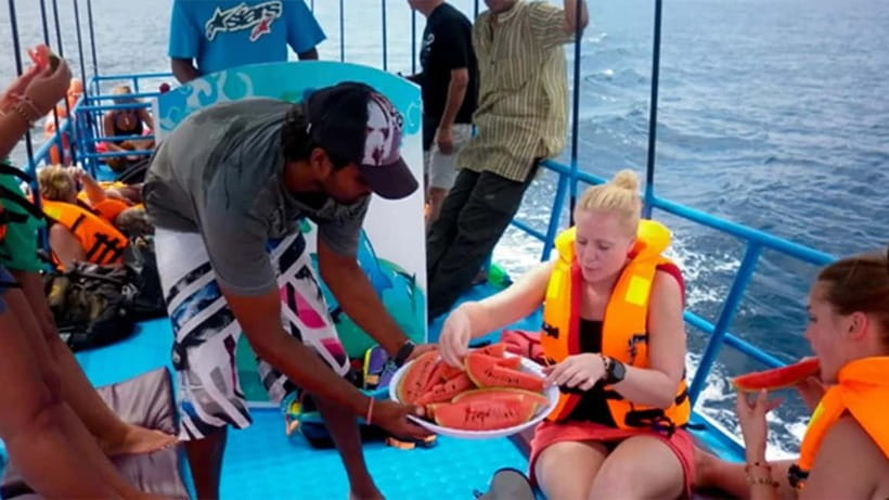 Hikkaduwa/Galle/Ahangama: Whale Watching Tour in Mirissa - Early morning timing: why it starts before you feel ready