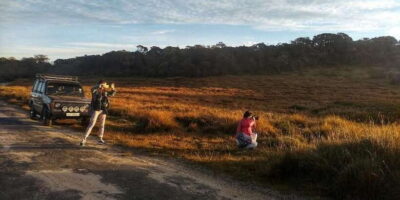Horton plains: Discover real essence of central highland - Pickup in Nuwara Eliya: the morning run that makes it work