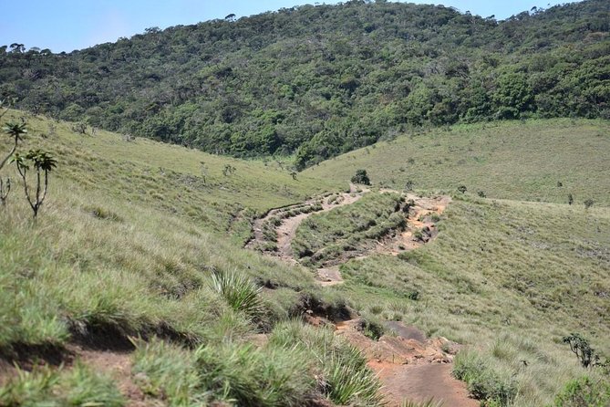 Horton Plains National Park Entrance Ticket with Guide - Mini World’s End: the early viewpoint that sets expectations