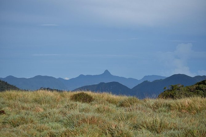Horton Plains National Park Entrance Ticket with Guide - World’s End: the precipice view you plan your timing around