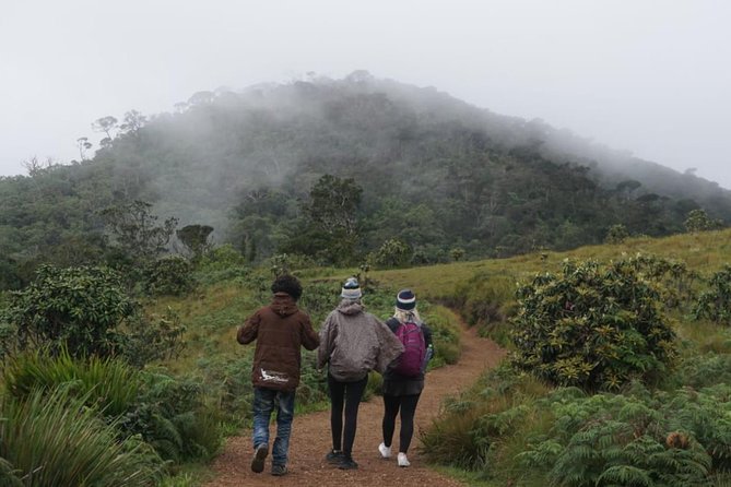 Horton Plains National park in Nuwara eliya - Chimmini Pool and Baker’s Waterfall: Nature stops that break the hike up