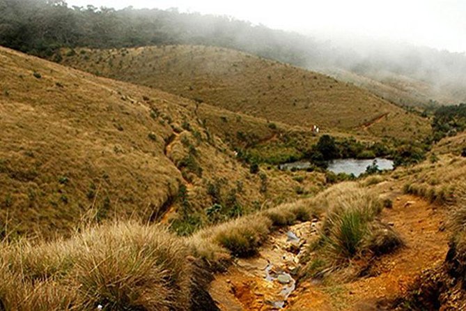 Horton Plains-World's End Tour and Tea Factory Tour From Nuwaraeliya - Key Highlights You’ll Feel Right Away