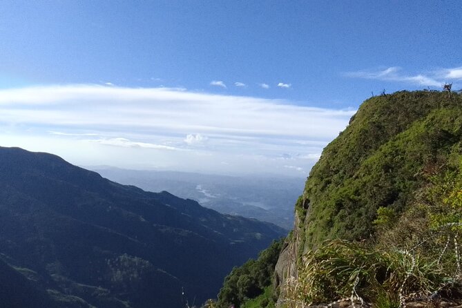 Horton Plains-World's End Tour and Tea Factory Tour From Nuwaraeliya - Horton Plains National Park and World’s End: The Main Trek