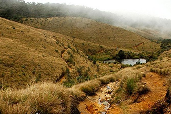 Horton Plains-World's End Tour From Nuwaraeliya - Key highlights to know before you go