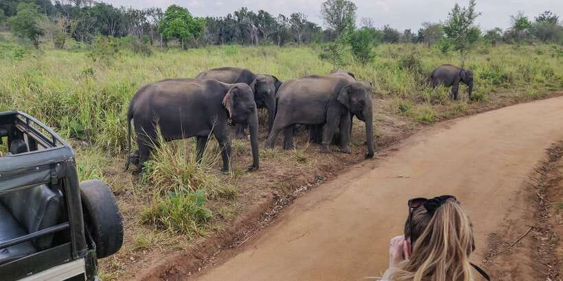 Hurulu Eco Park: 3-Hour Morning or Evening Safari - Value check: is $24 a good deal for a private safari?