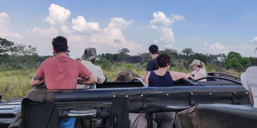 Hurulu Eco Park: 3-Hour Morning or Evening Safari - What to bring (and what to avoid) for a smooth safari morning or evening