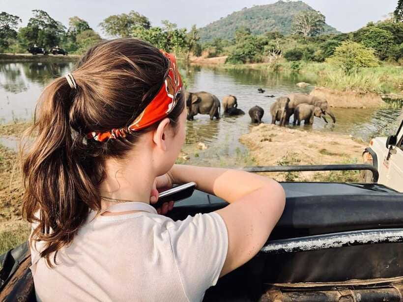 Hurulu Eco Park Habarana Wild Elephant Safari - Who should book this Hurulu Eco Park safari?