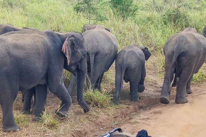 Hurulu Eco Park Private Safari - Hurulu’s terrain: why dry forests and waterways matter